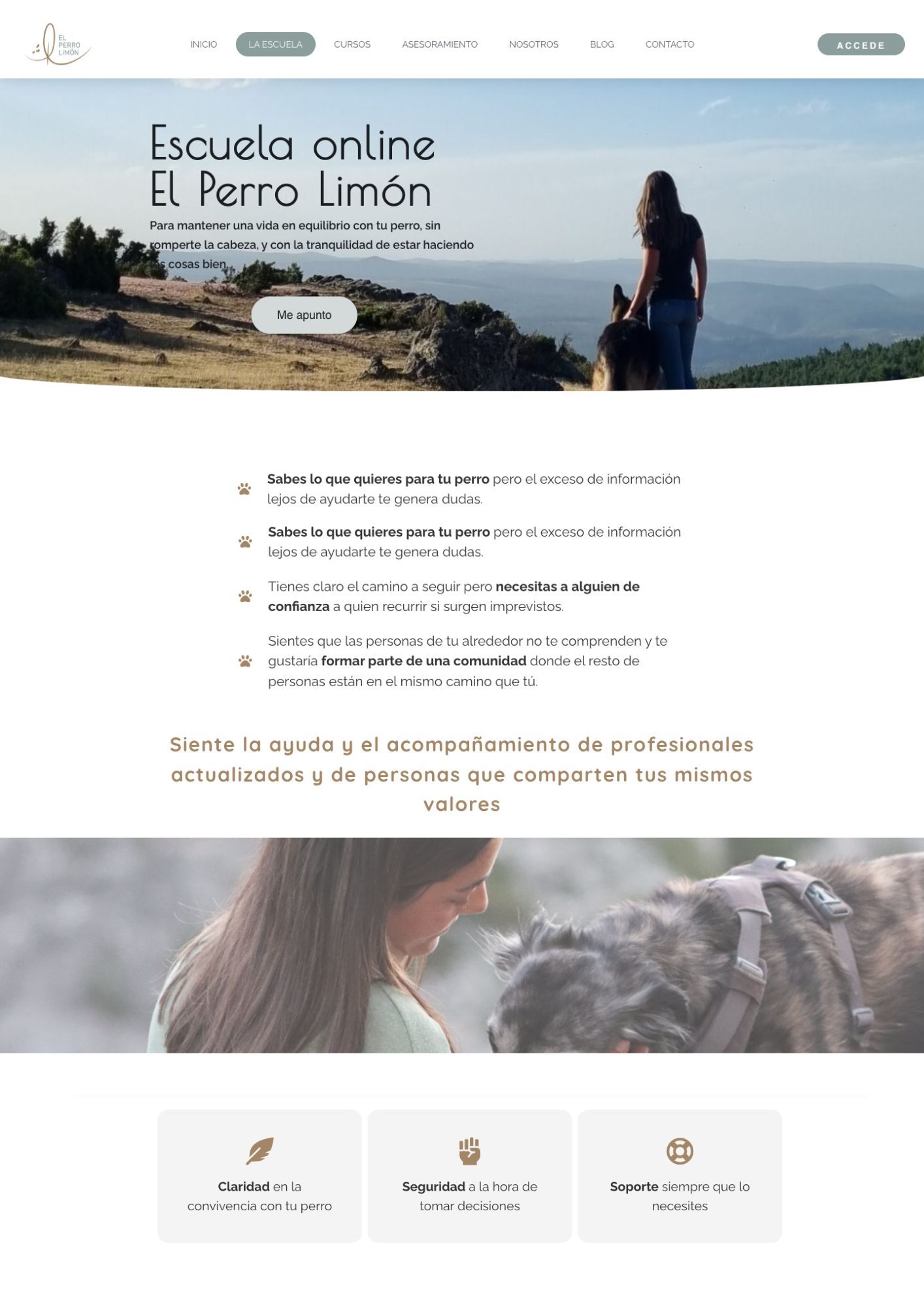 web escuela el perro limon Web Profesional en Alicante